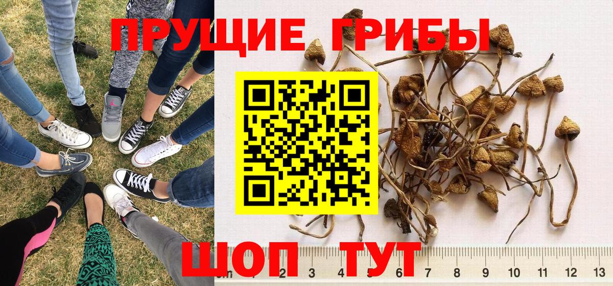 Галлюциногенные грибы мухоморы Советский