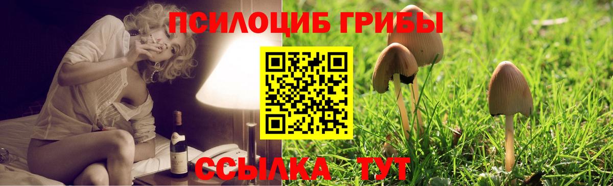 Галлюциногенные грибы Magic Shrooms  Вход с VPN  купить наркотики цена  Советский 